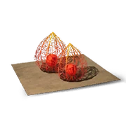 Fire Bellflower Uncommon