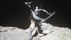 250?cb\u003d20240905165619