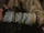 Pilgrim's Wristwraps