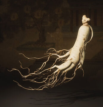 Aged Ginseng | Black Myth: Wukong Wiki | Fandom