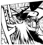 Acta attacking the tiger