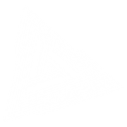 Clock404