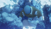 BRS DF EP10-355