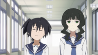 BRS OVA 120