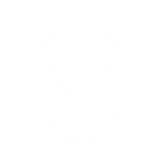 Forge5