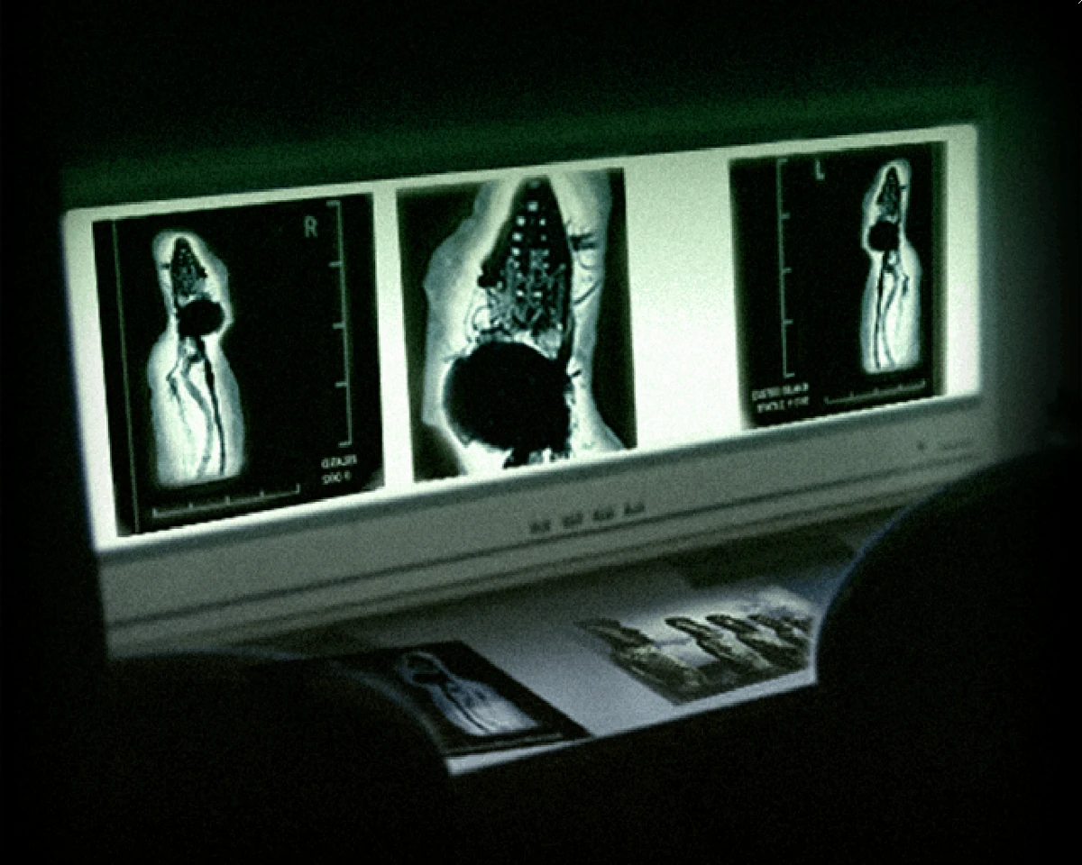 Unknown Artifacts Discovery Area 51 Wiki Fandom