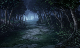 Forest (Nighttime)