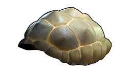 Turtle shell sandbox sales