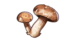 Edible Mushroom