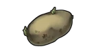Potato