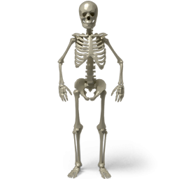 Spooky Scary Skeleton Blacky Official Studio Wiki Fandom - spooky skeleton song roblox