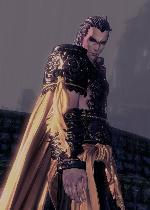 blade and soul faction change