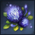 Ebon Bloom