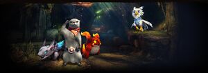 Pet Official Blade Soul Wiki No trolling, witchhunting, and toxic behavior. pet official blade soul wiki
