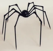 Spider