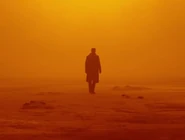 Las Vegas K.jpg (11 KB) K exploring the ruins of Las Vegas