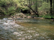 1332997 300.jpg (57 KB)