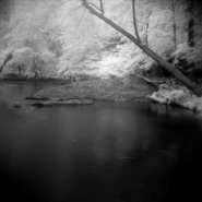 530544507 84fa5dbf32.jpg (78 KB)