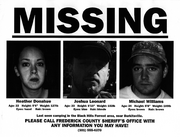 Missing poster