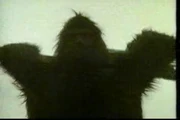Image of a Link about to attack