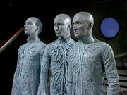 The three Ultras (: )