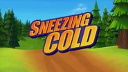 Sneezing Cold