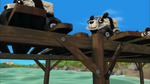 S3E15 Pandas crossing steadily