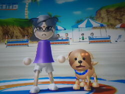 Blaze the Cat (Mii) | Blaze the cat Wiki | Fandom