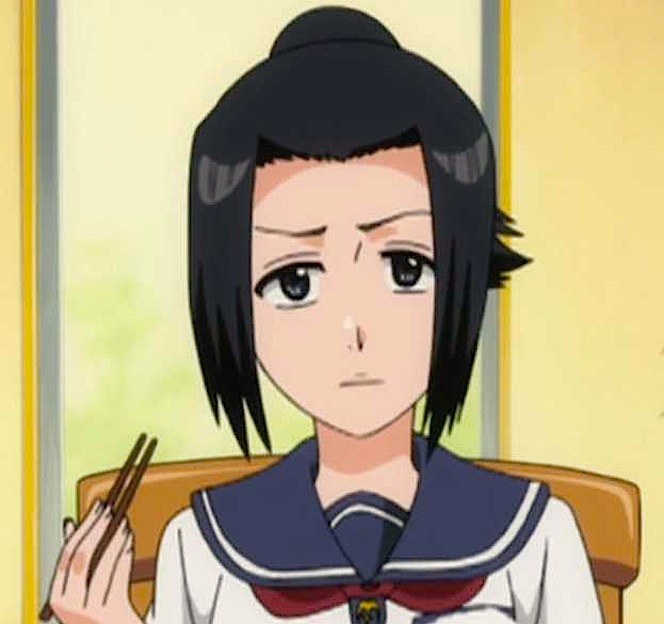 Karin Kurosaki Bleach and Fairy Tail Wikia Fandom