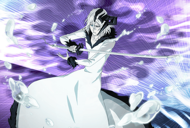 6☆ Zangetsu (Senkaimon Quest Version) (Speed Attribute), BLEACH Brave  Souls Wiki