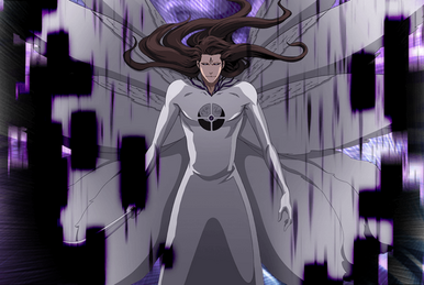 Aizo (Fusion) - Aizen (4th Fusion Hōgyoku), Anime Adventures Wiki