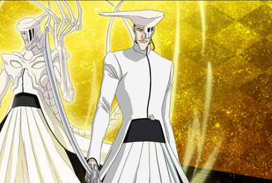 4☆ Rukia Kuchiki (Version 2) (Mind Attribute), BLEACH Brave Souls Wiki