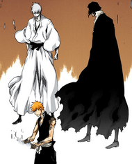 Zangetsu - Bleach Wiki - Neoseeker