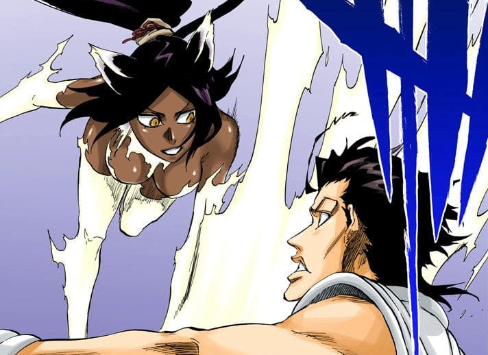 bleach yoruichi cat