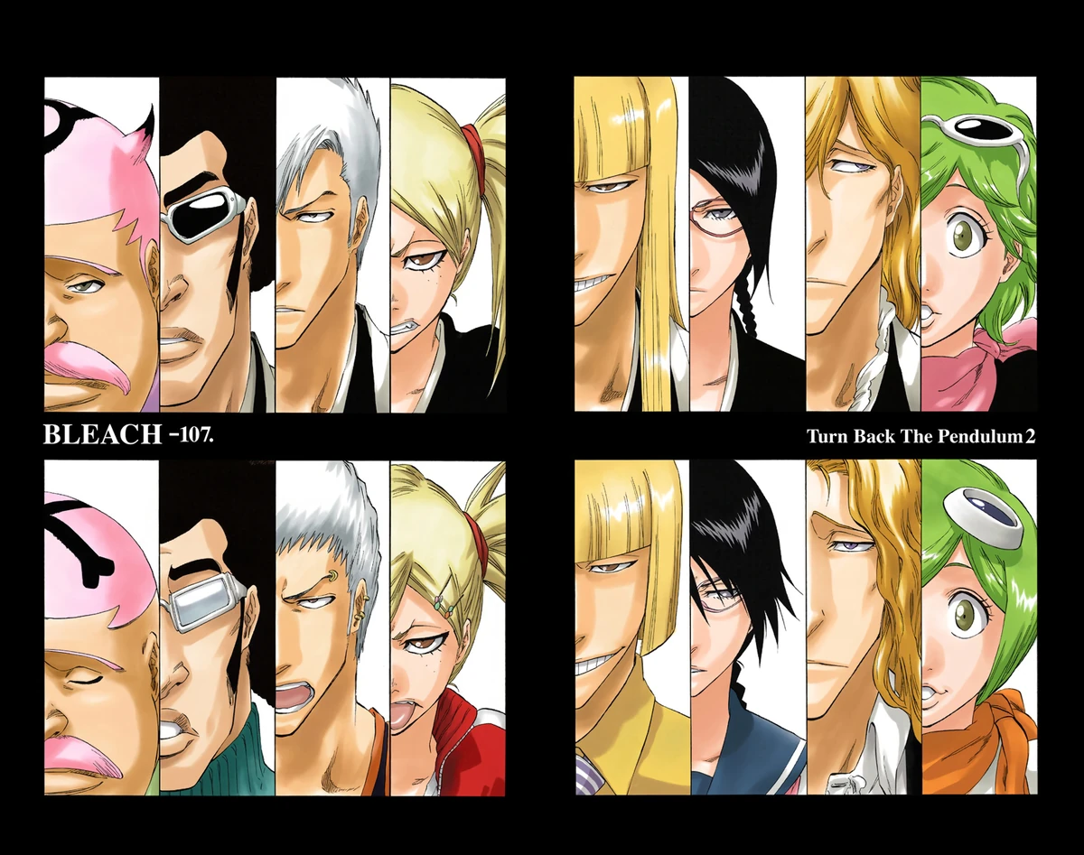 Visored Bleach Wiki Fandom