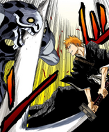 Ichigo defeats Fishbone D.