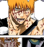 Ichigo refuses to give up against Ulquiorra because he has to win.