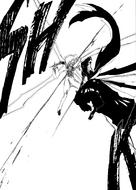 Ichigo attacks Ginjō.