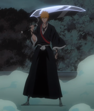 Tale of the Lost Agent, Bleach Wiki