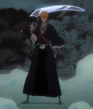 Fanatical FanBoy™ on X: After losing his Shinigami powers, Ichigo