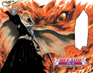 Ichigo Kurosaki wearing a Tentōken.