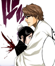 Sōsuke Aizen Bleach Wiki Fandom