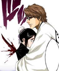 List of Bleach chapters (188–423) - Wikipedia