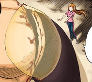 Orihime uses Sōten Kisshun to reattach Jidanbō Ikkanzaka's arm.