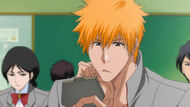 Bleach - 343 - Large 12