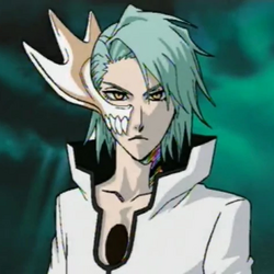 Category Video Game Original Characters Bleach Wiki Fandom