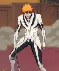 Ichigo Complete Fullbring