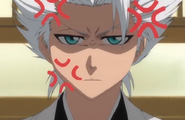 Hitsugaya expresses irritation at the disruptive actions of Rangiku and Haineko.