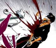 592Hitsugaya slashes