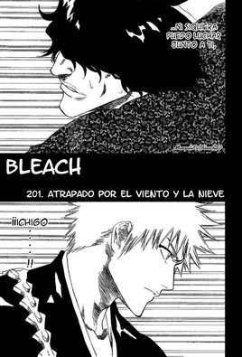 Bleach4-2-